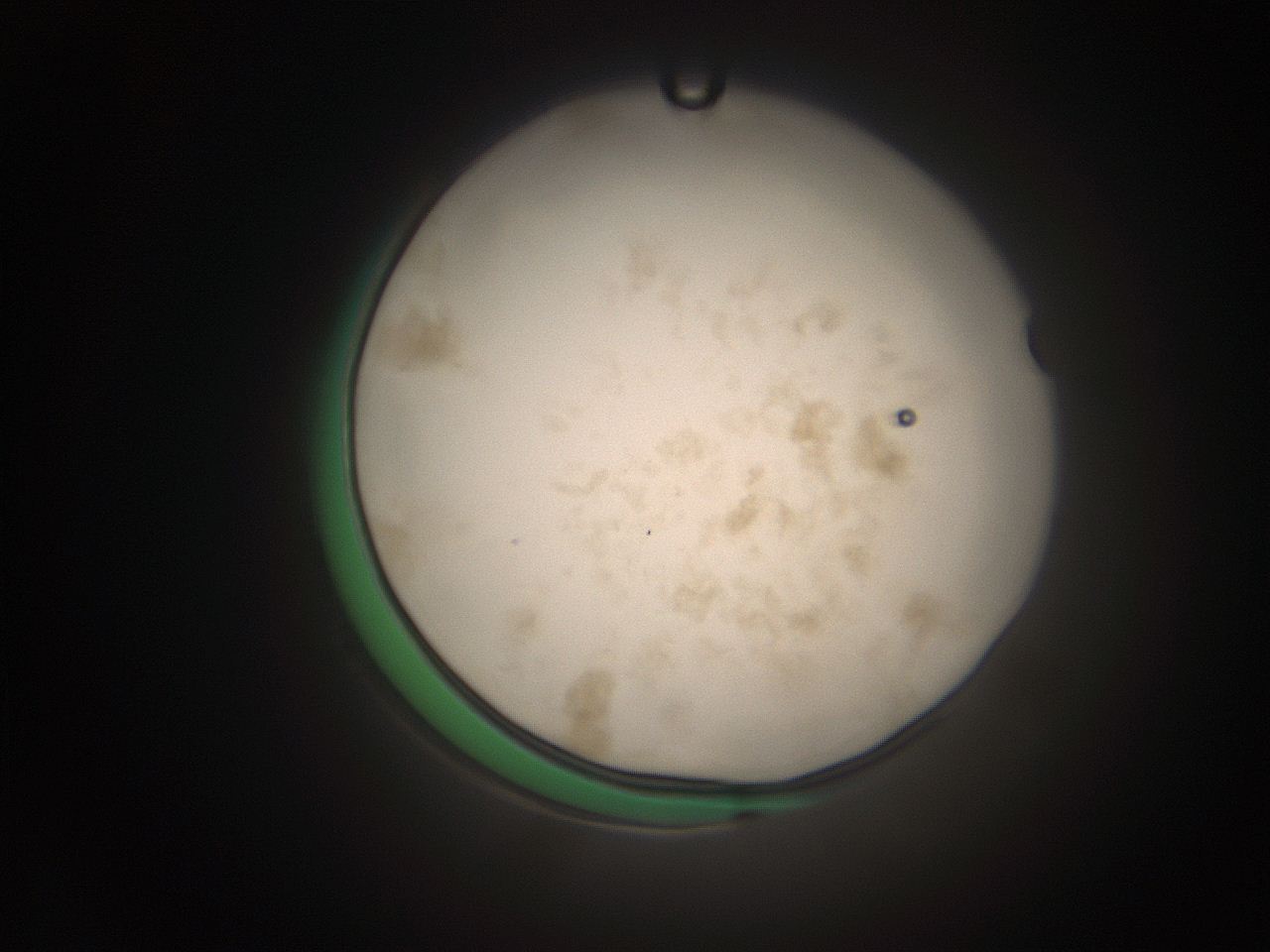 066s_G1_ImagerDefaults_9.jpg