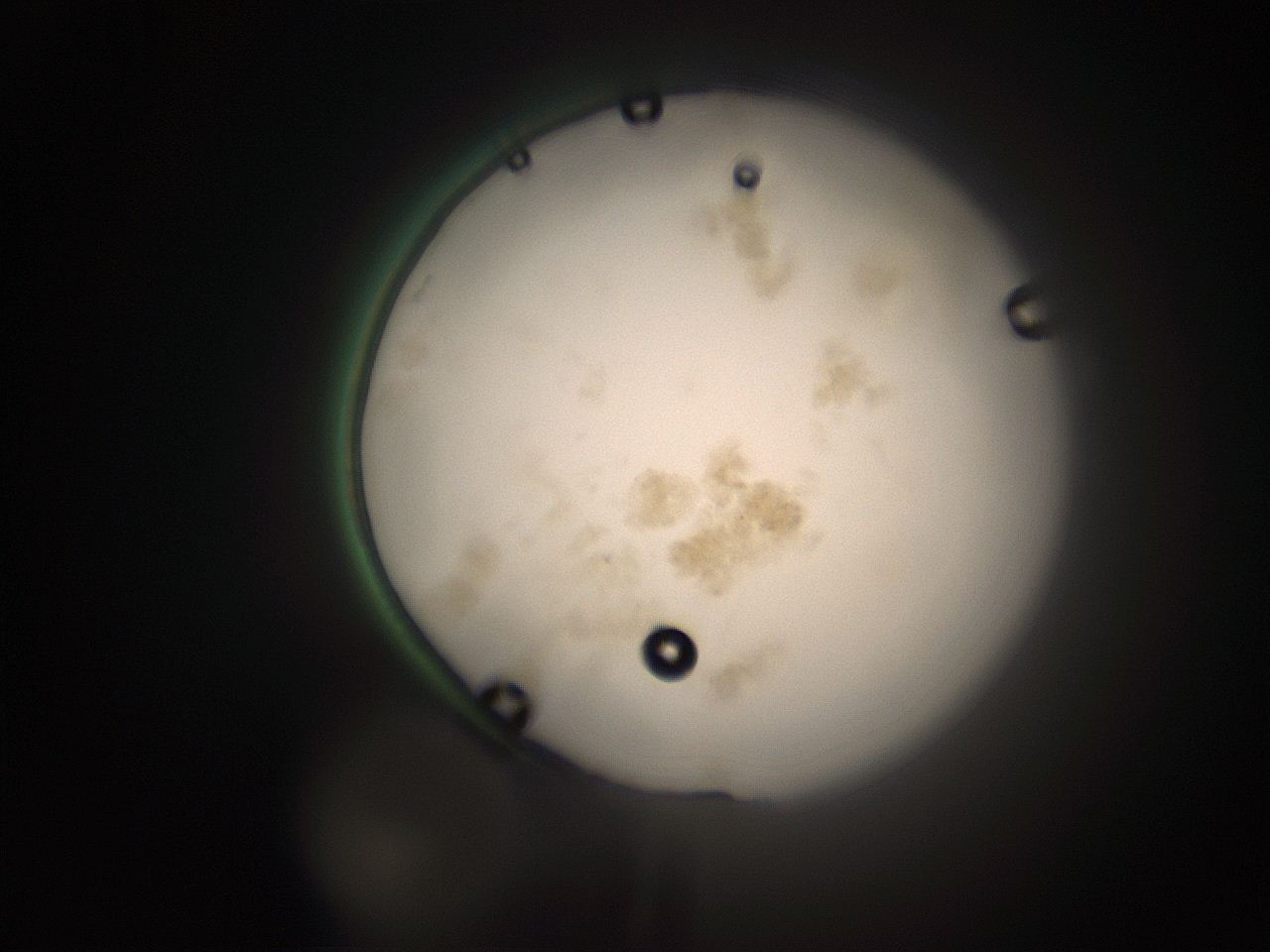 066s_G13_ImagerDefaults_9.jpg