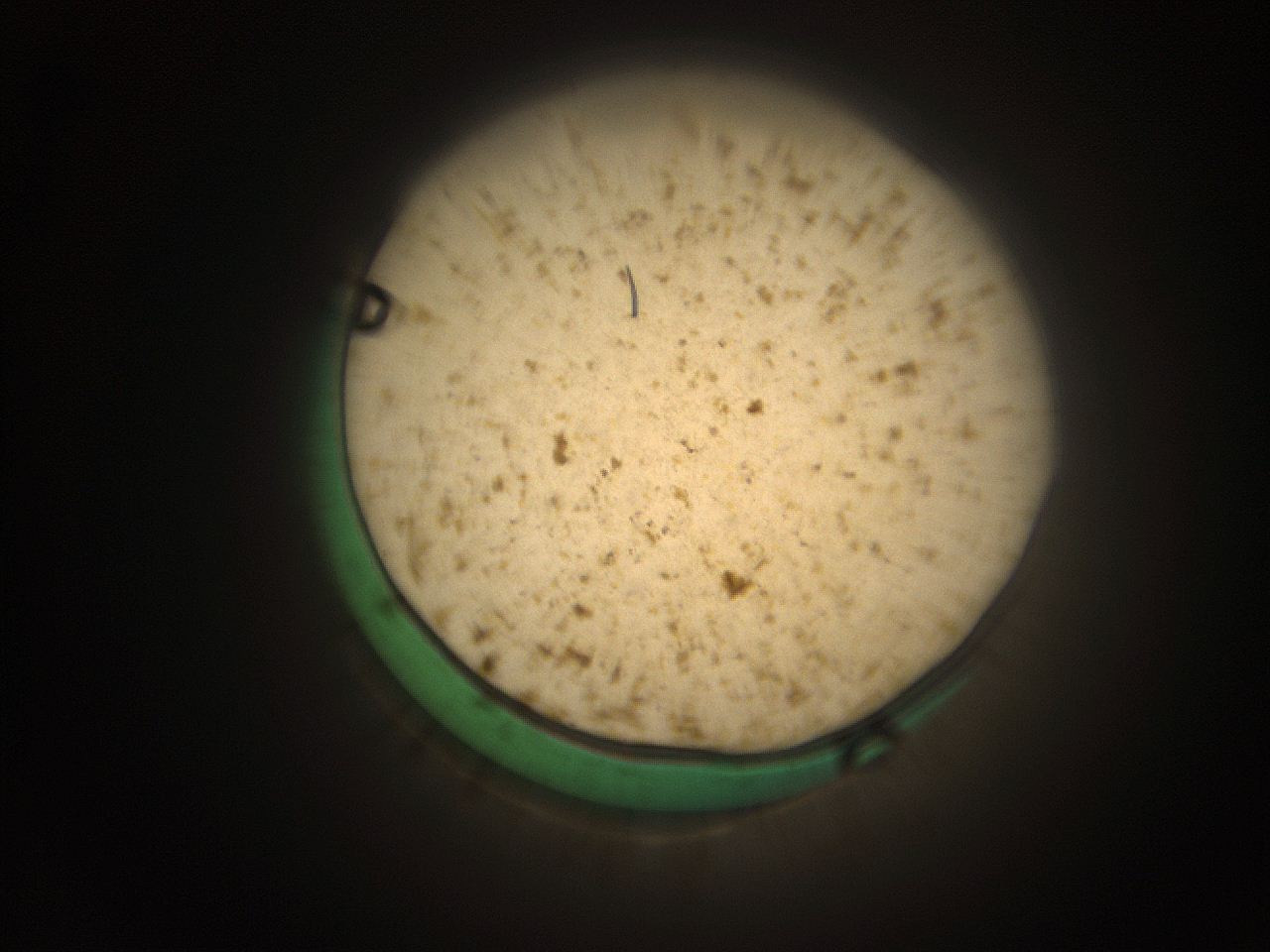 066s_I1_ImagerDefaults_9.jpg