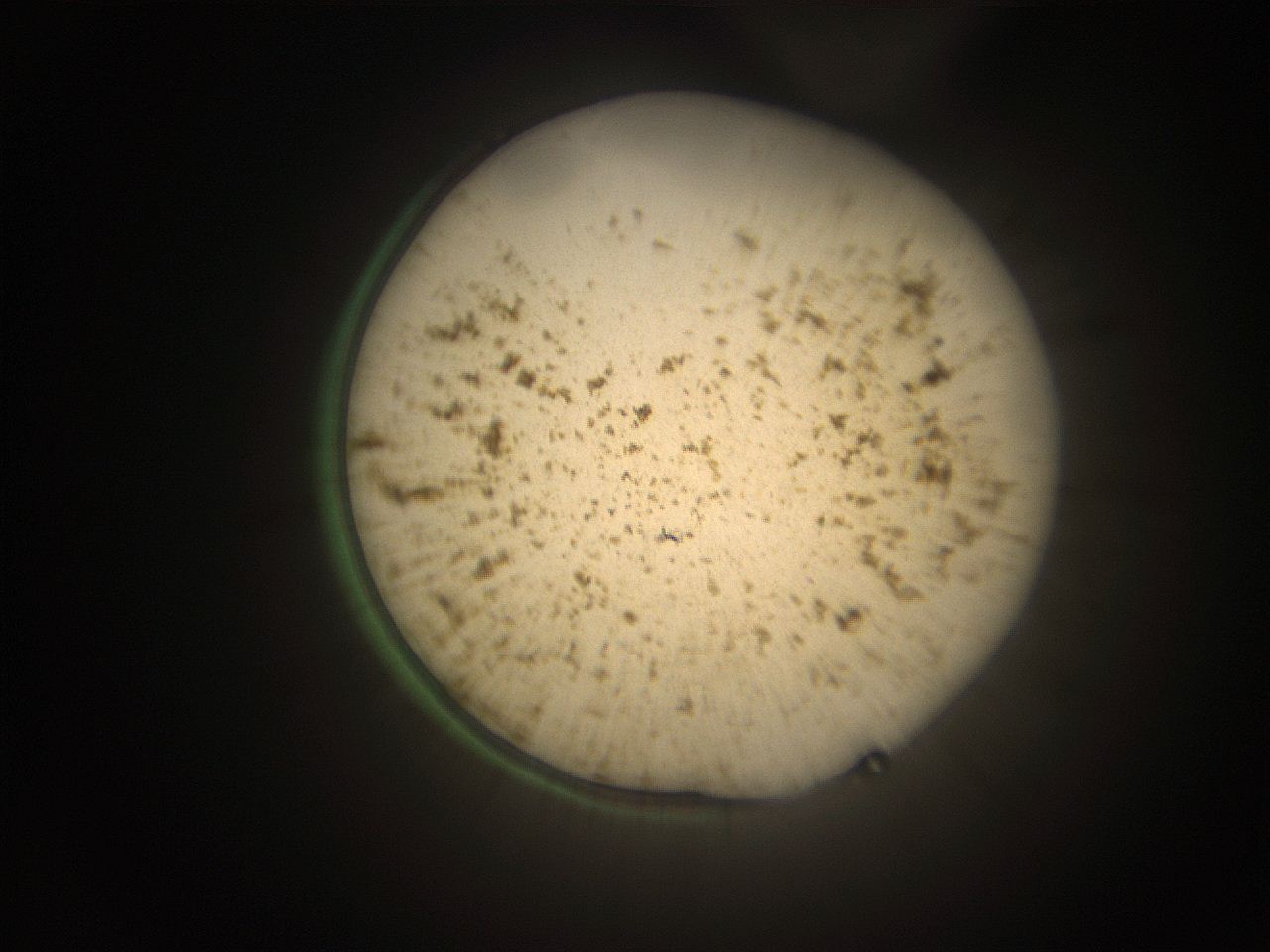 066s_I13_ImagerDefaults_9.jpg