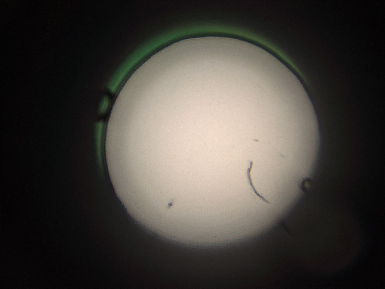 066s_I24_ImagerDefaults_1.jpg