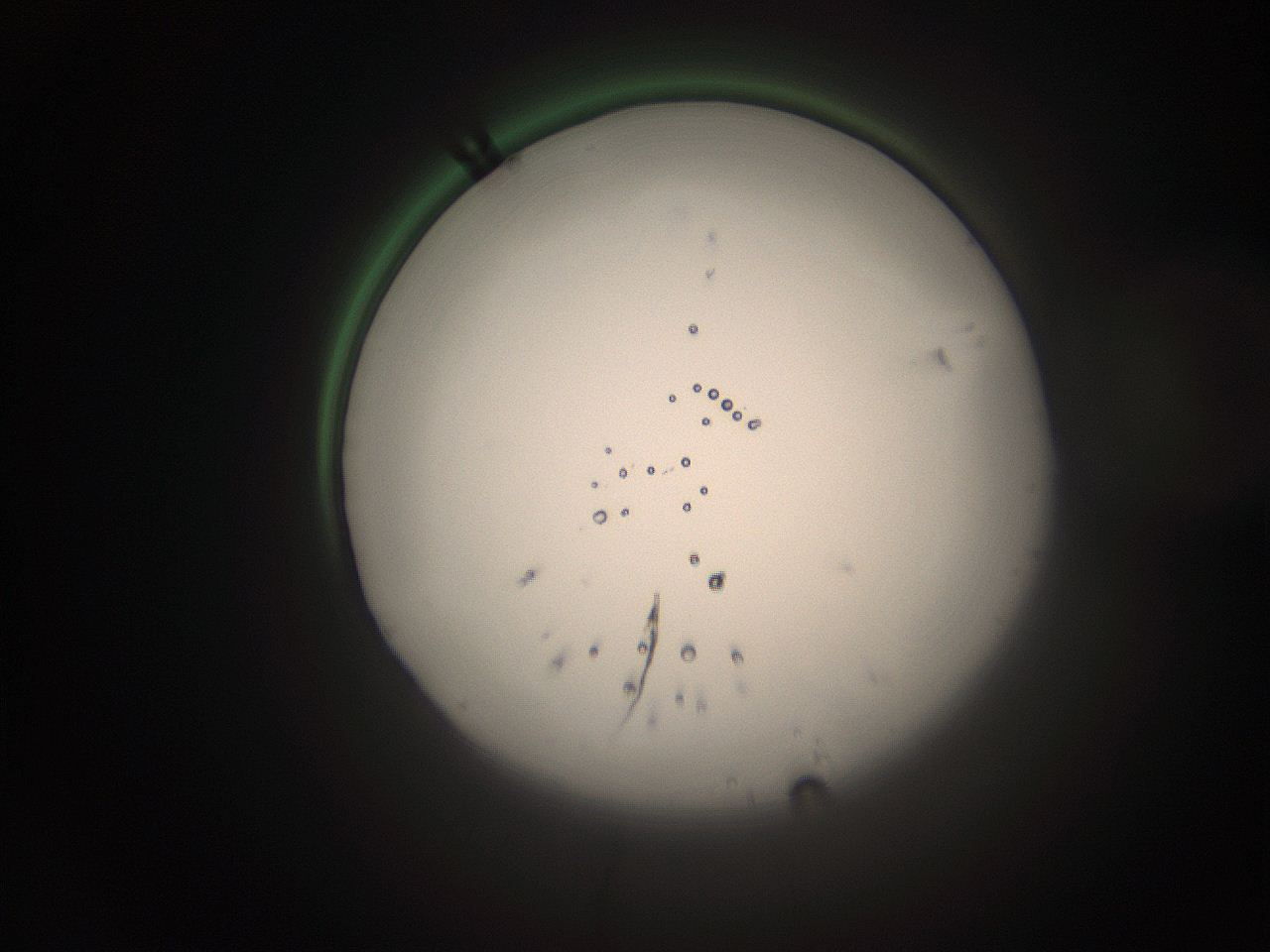 066s_J22_ImagerDefaults_1.jpg