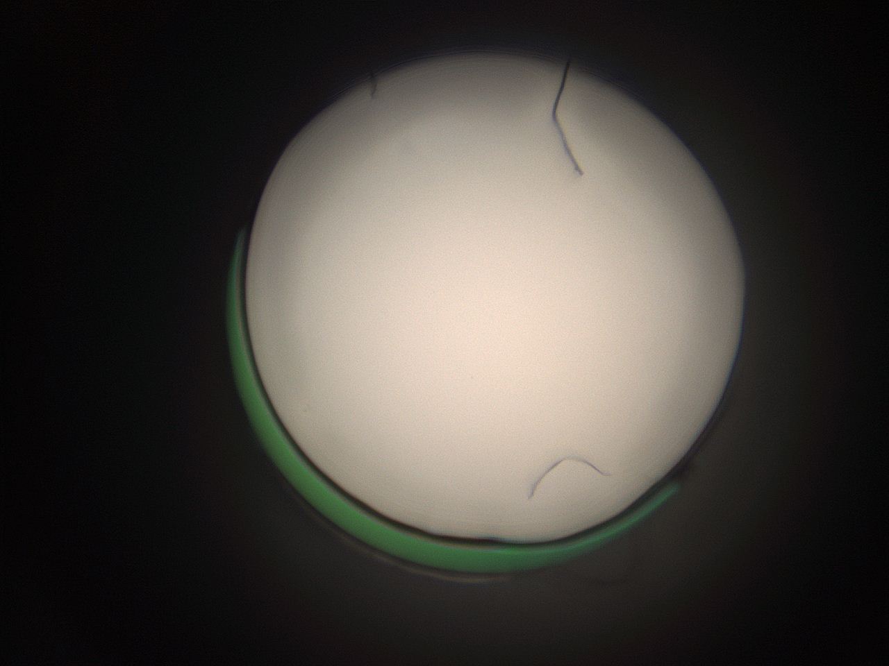 066s_K8_ImagerDefaults_1.jpg