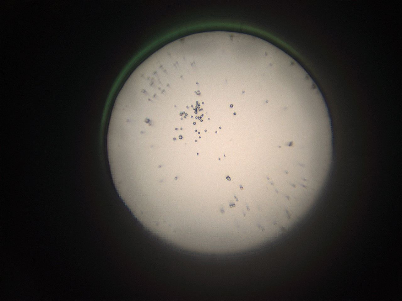 066s_K22_ImagerDefaults_1.jpg
