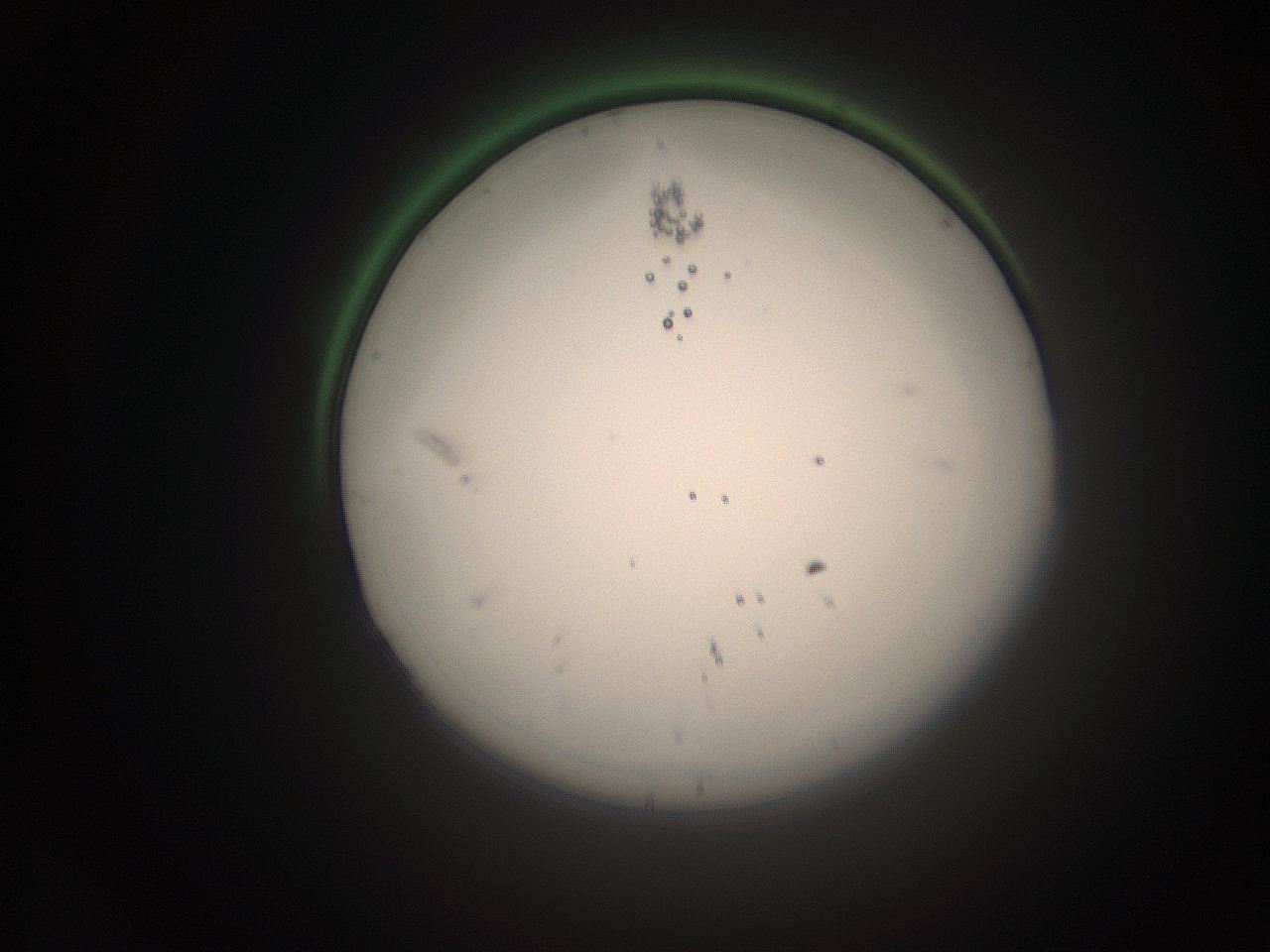 066s_K23_ImagerDefaults_1.jpg
