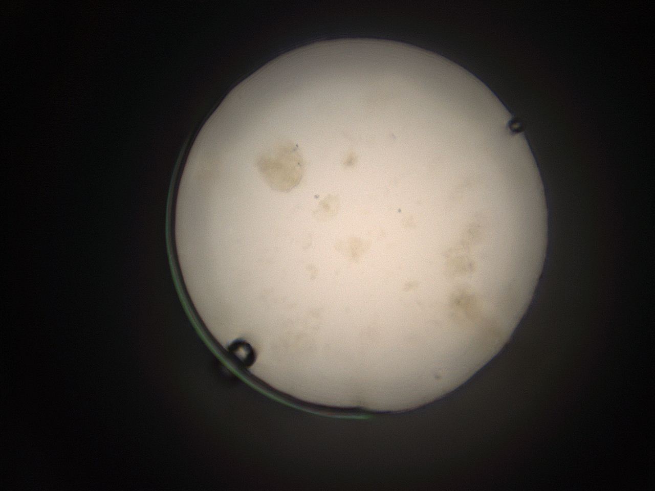 066s_L13_ImagerDefaults_9.jpg