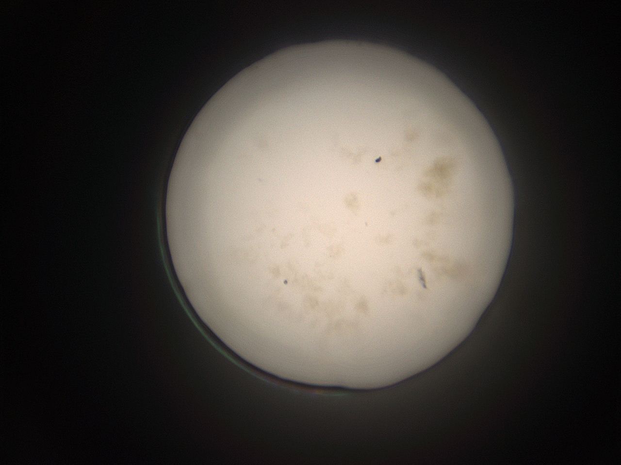 066s_L14_ImagerDefaults_9.jpg