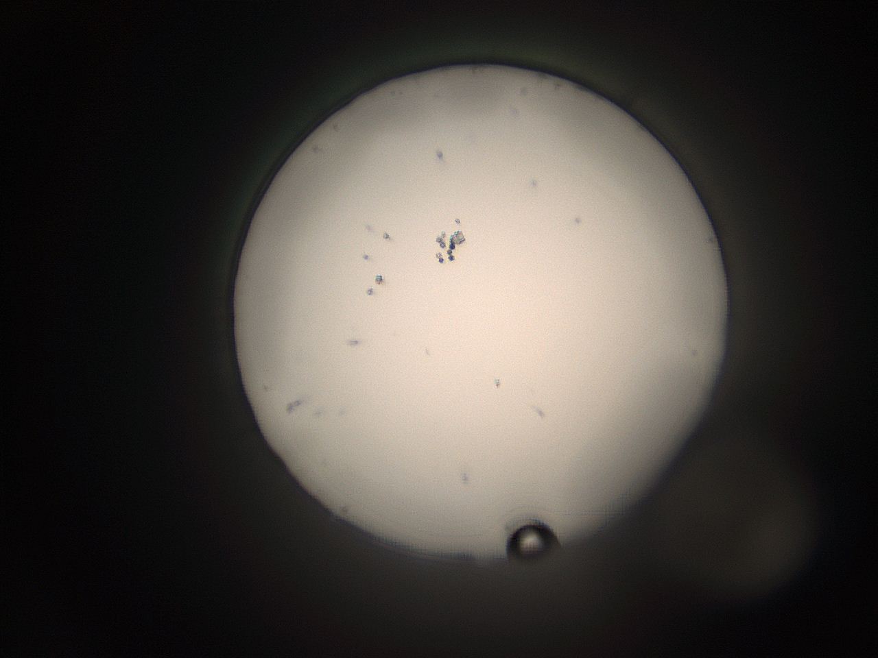 066s_L21_ImagerDefaults_1.jpg