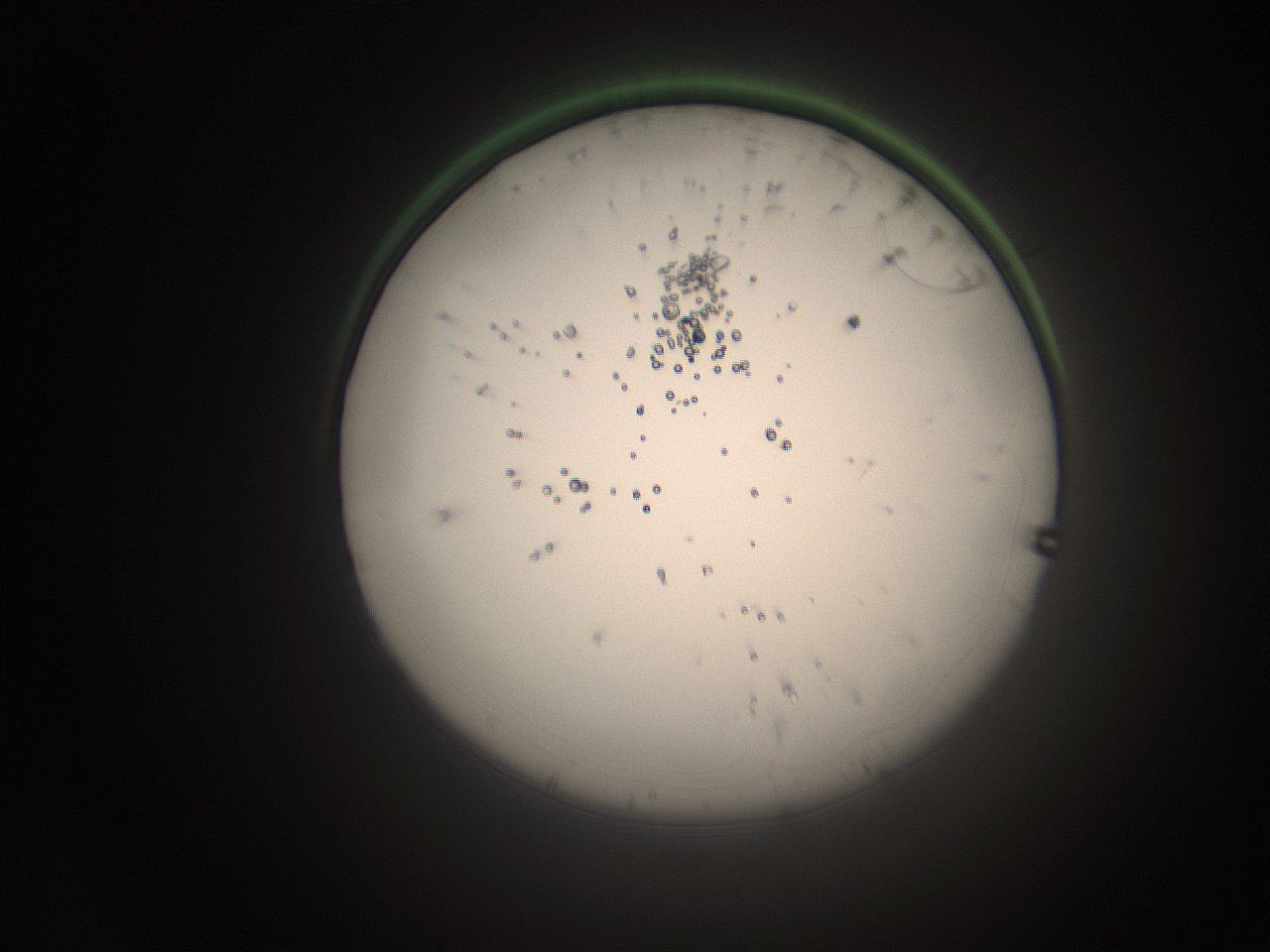 066s_L23_ImagerDefaults_1.jpg