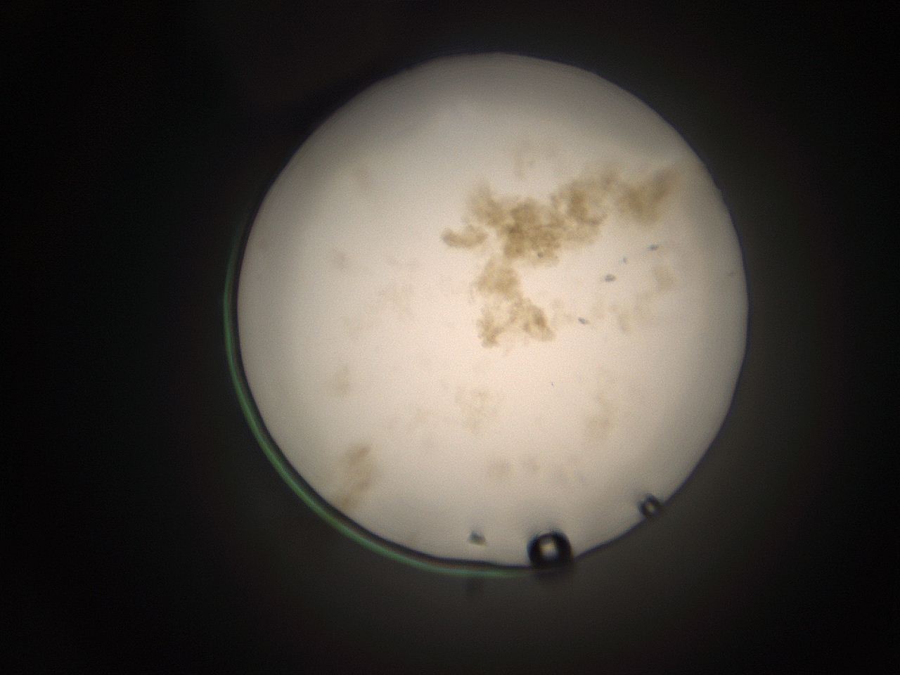 066s_M13_ImagerDefaults_9.jpg