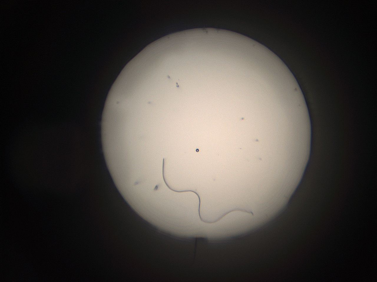 066s_M19_ImagerDefaults_1.jpg