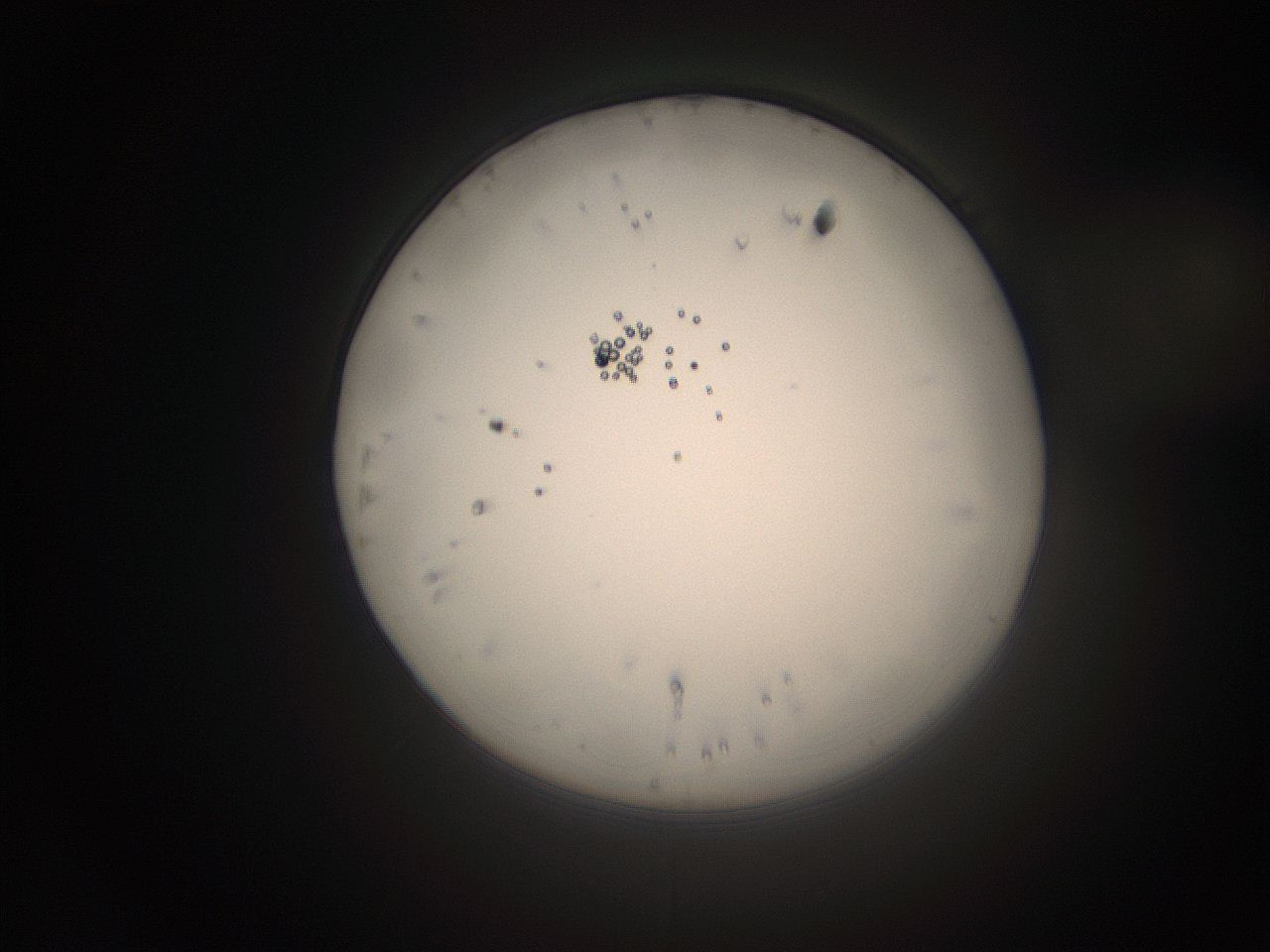 066s_M20_ImagerDefaults_1.jpg