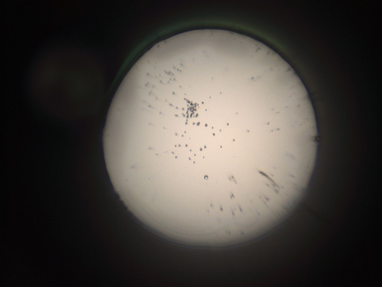 066s_M21_ImagerDefaults_1.jpg
