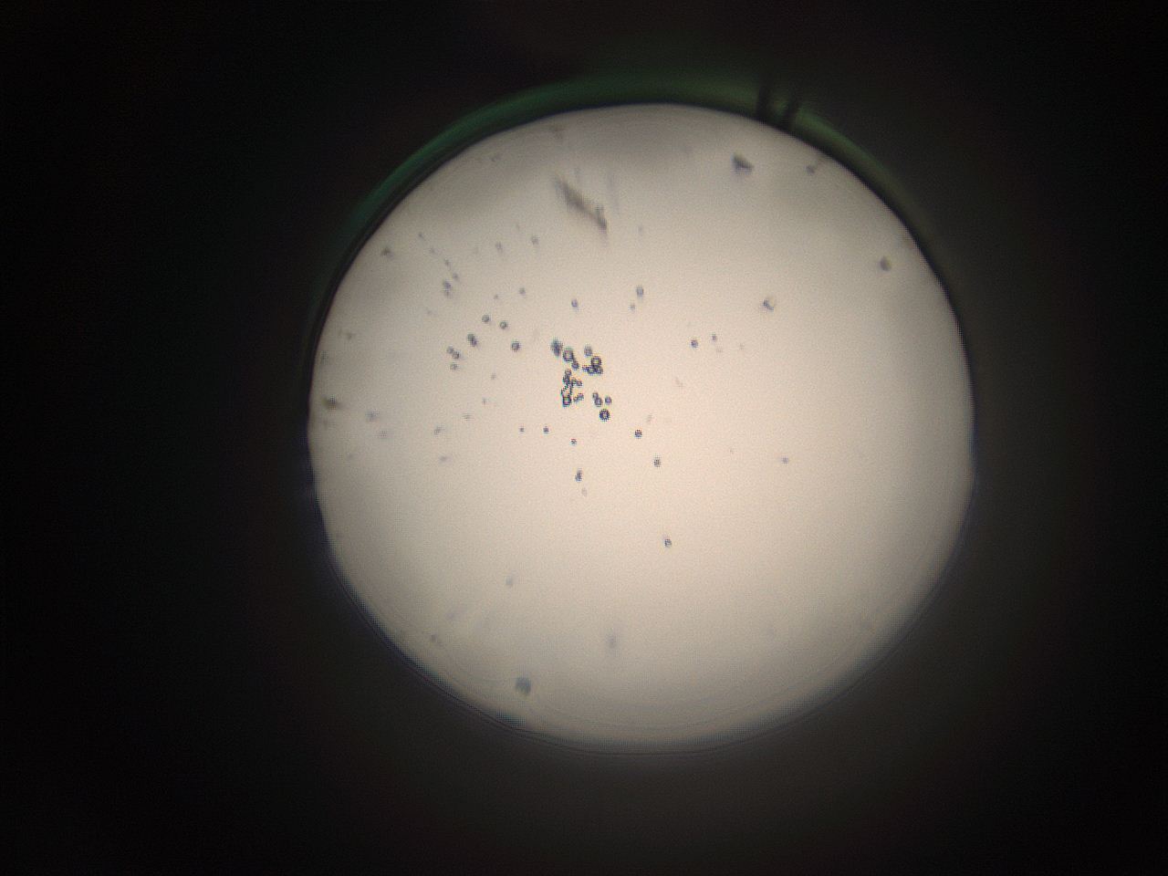 066s_M22_ImagerDefaults_1.jpg