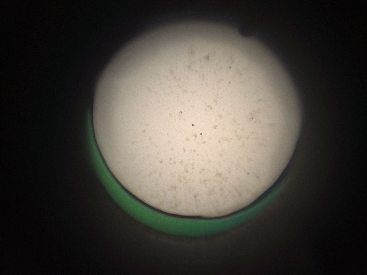066s_N2_ImagerDefaults_9.jpg