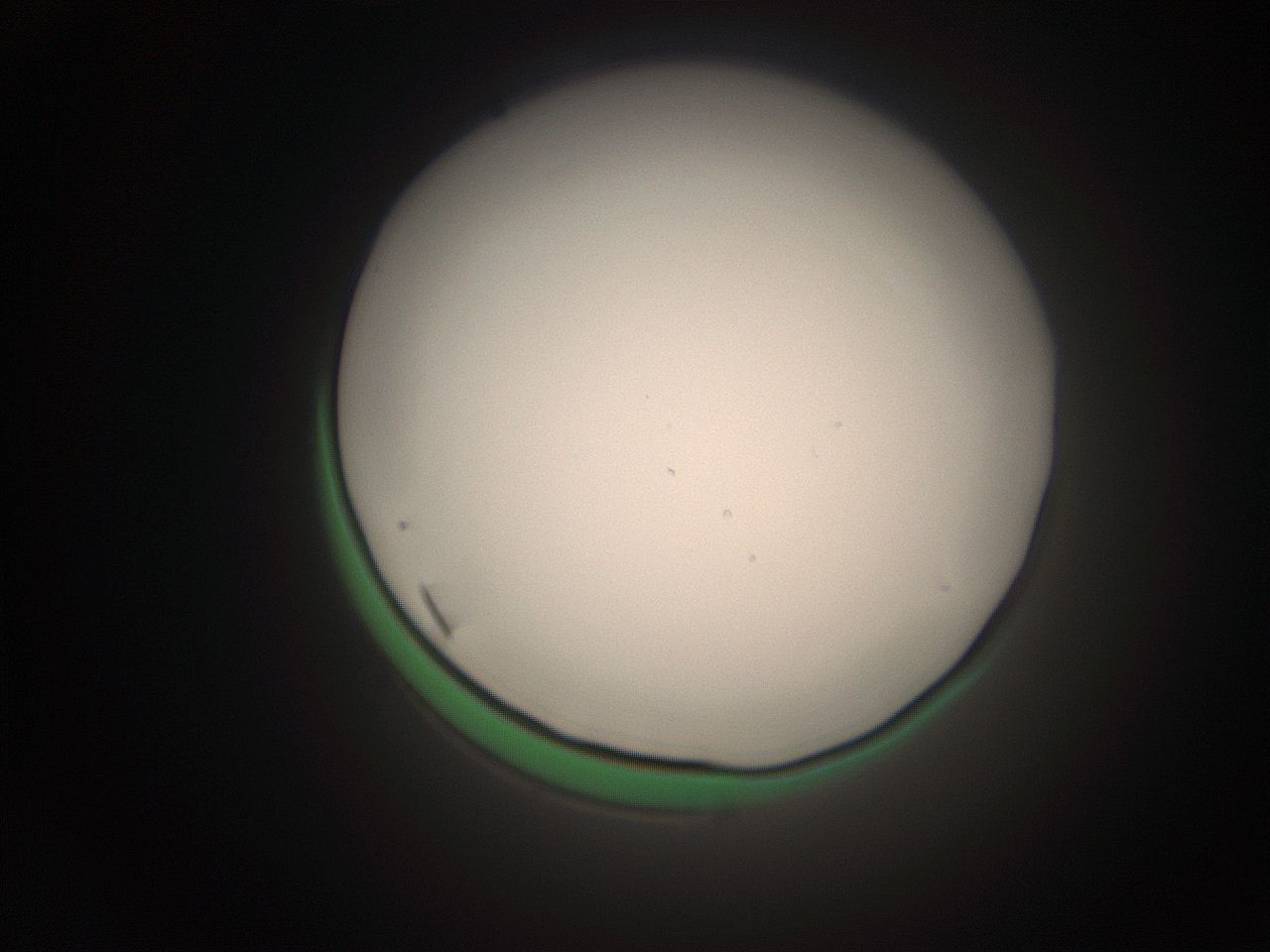 066s_N10_ImagerDefaults_1.jpg