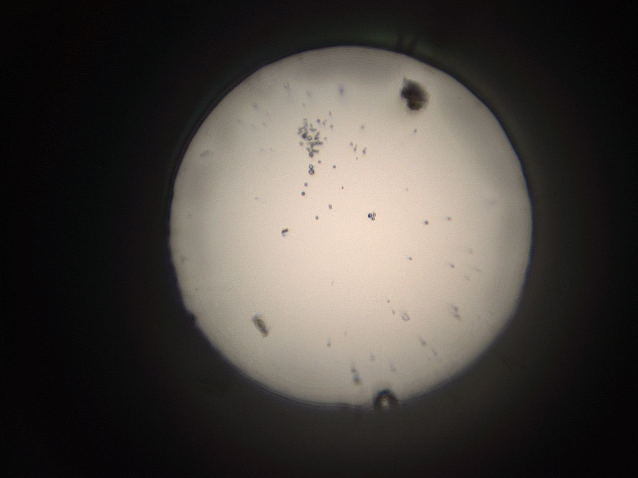 066s_N21_ImagerDefaults_1.jpg