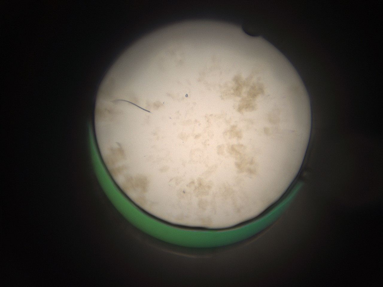 066s_O1_ImagerDefaults_9.jpg