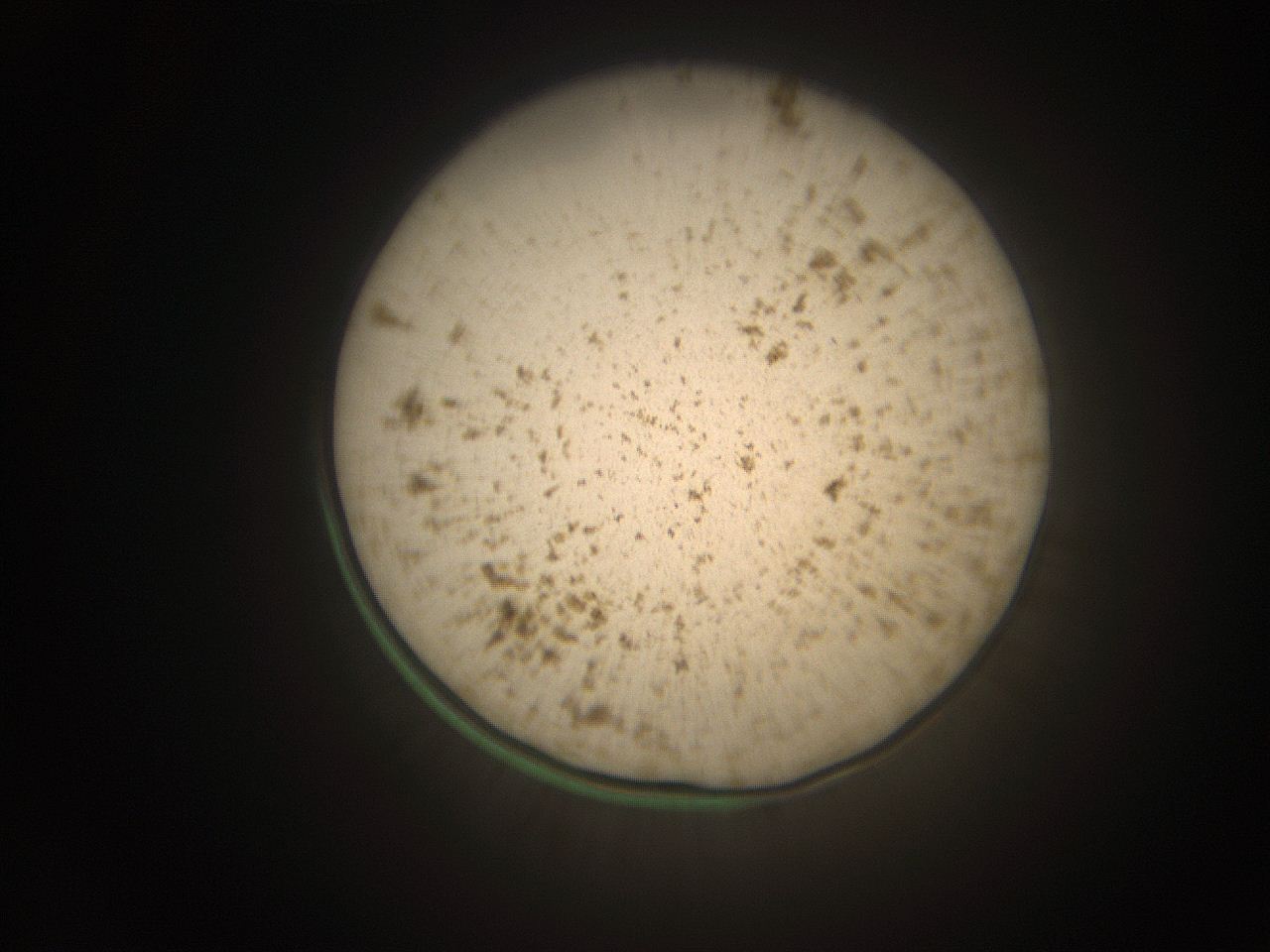 066s_O13_ImagerDefaults_9.jpg