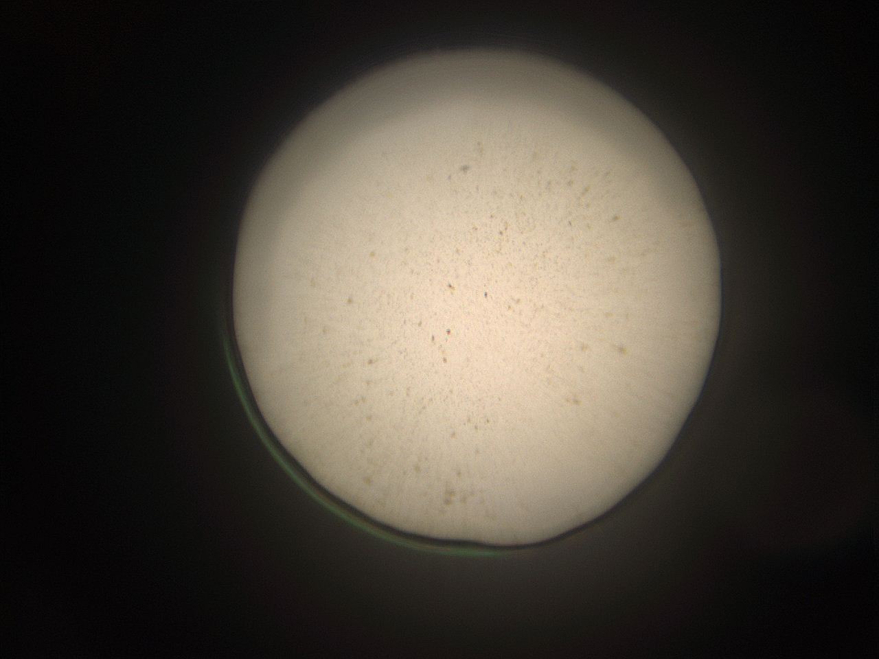 066s_O14_ImagerDefaults_9.jpg