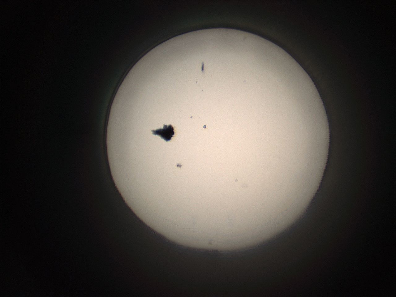 066s_O20_ImagerDefaults_1.jpg