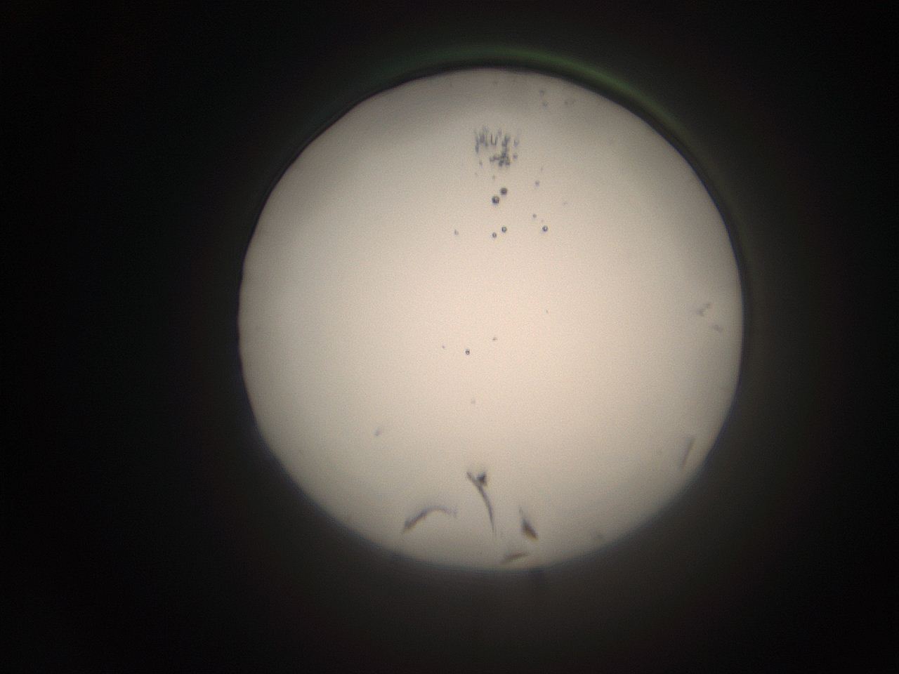 066s_O22_ImagerDefaults_1.jpg