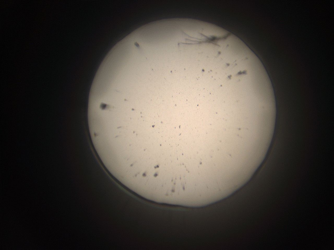 066s_P14_ImagerDefaults_9.jpg
