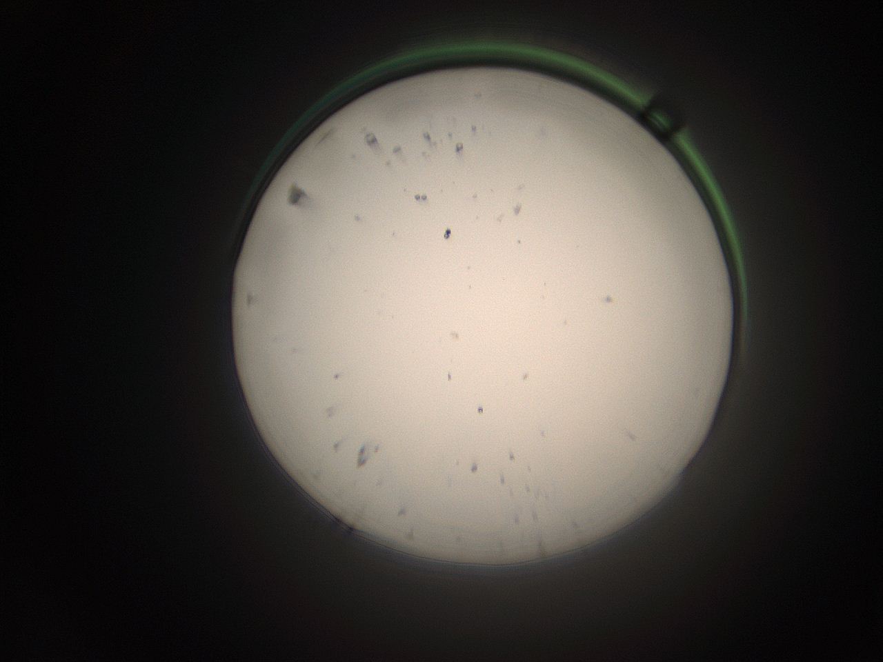 066s_P23_ImagerDefaults_1.jpg