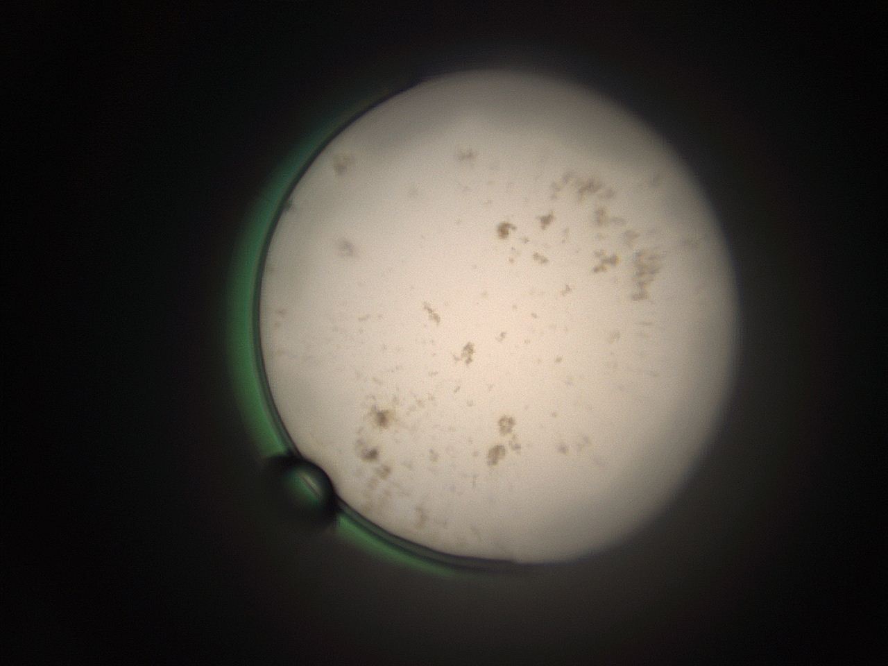 066t_C2_ImagerDefaults_9.jpg