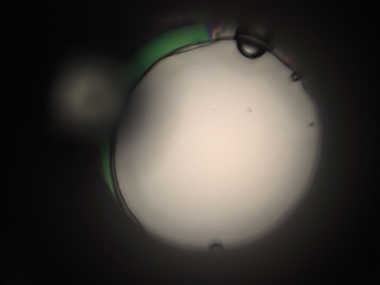 066t_A24_ImagerDefaults_1.jpg