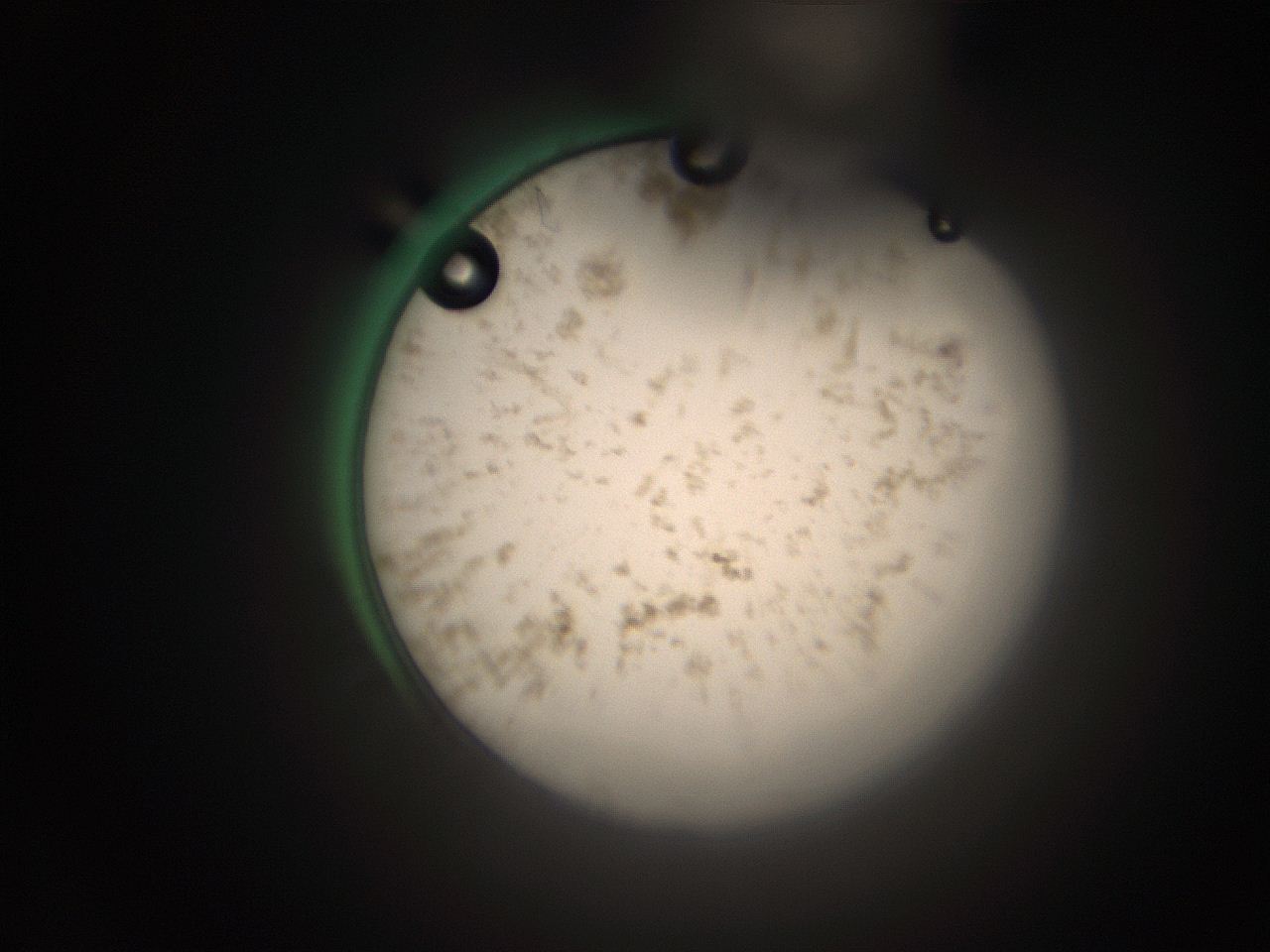 066t_C13_ImagerDefaults_9.jpg
