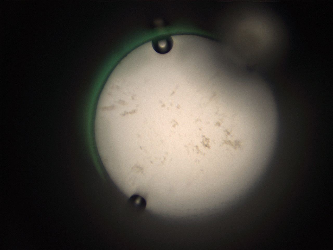 066t_C14_ImagerDefaults_9.jpg