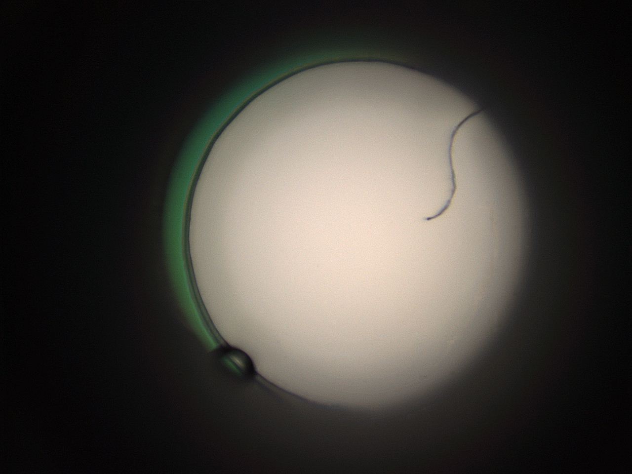 066t_A11_ImagerDefaults_1.jpg