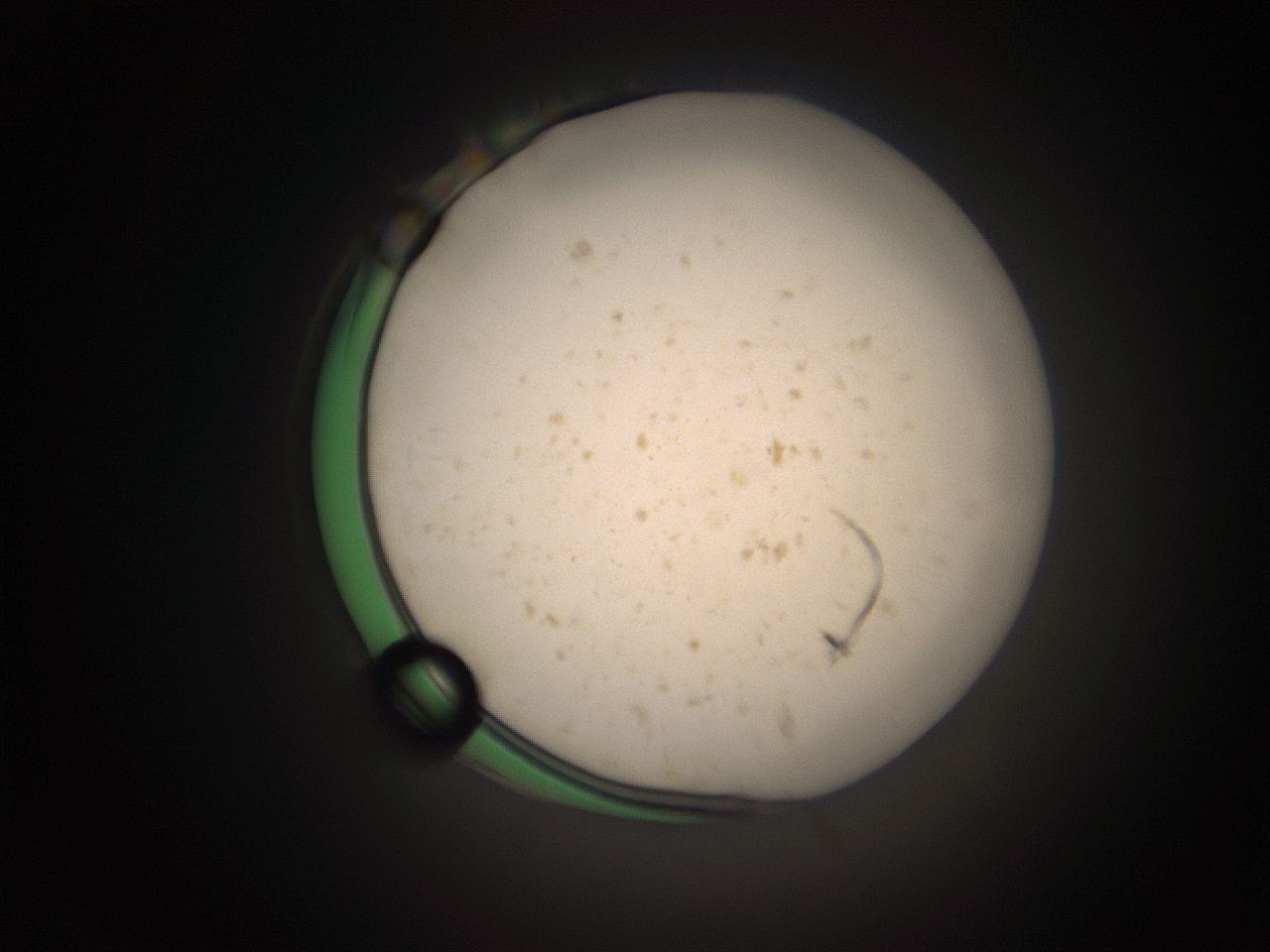 066t_A1_ImagerDefaults_9.jpg