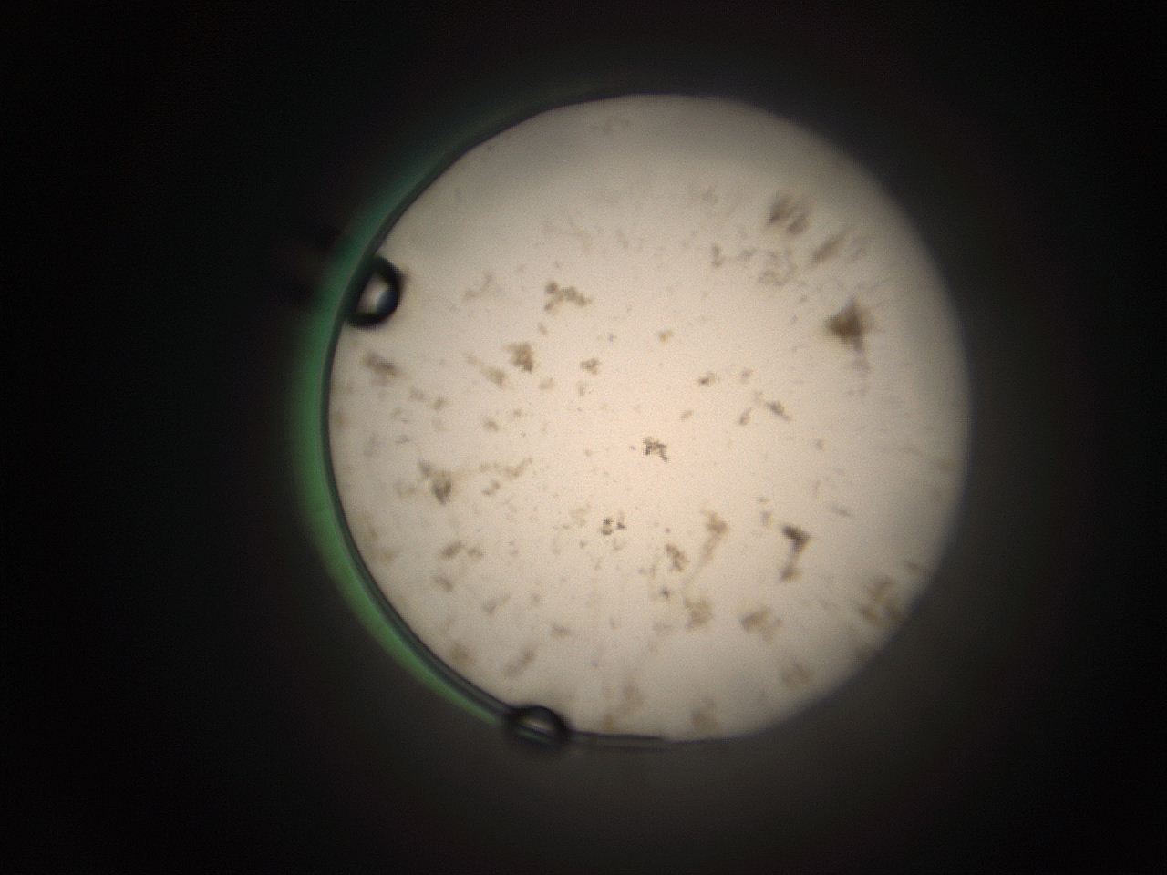 066t_E1_ImagerDefaults_9.jpg