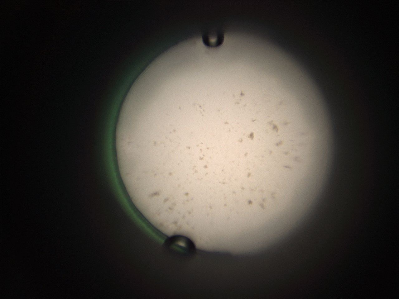 066t_E2_ImagerDefaults_9.jpg