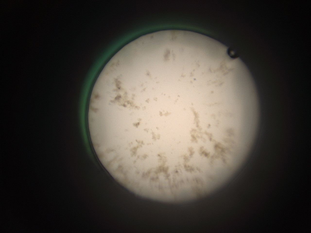066t_E13_ImagerDefaults_9.jpg