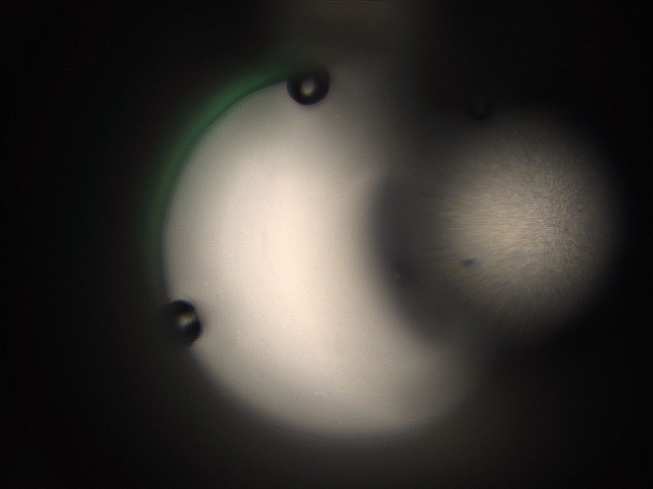 066t_F19_ImagerDefaults_1.jpg