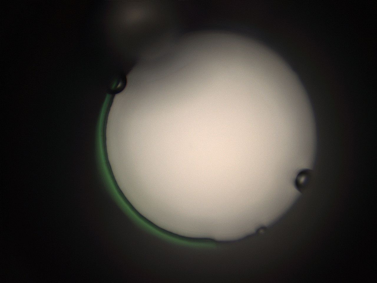 066t_I9_ImagerDefaults_1.jpg