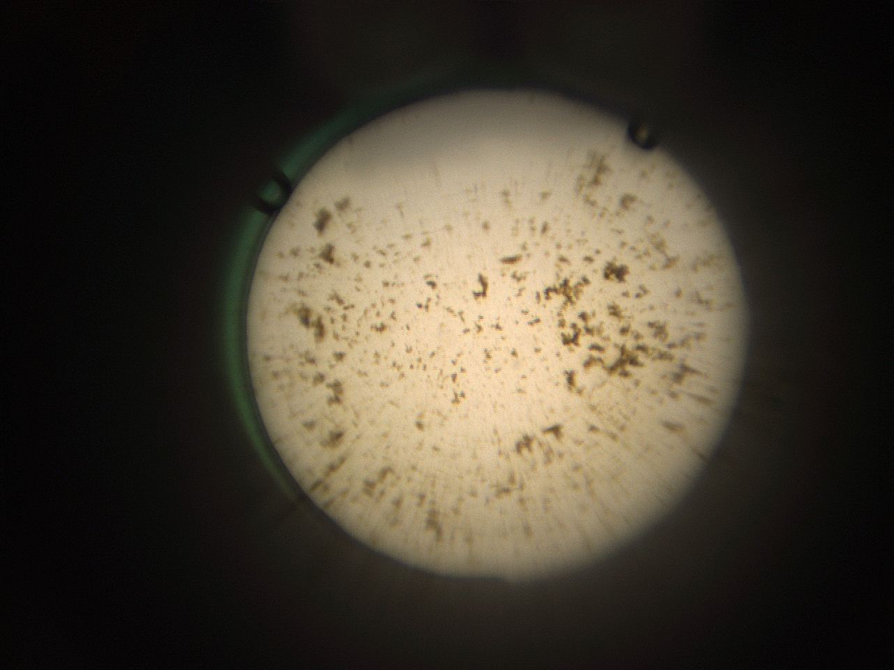 066t_I13_ImagerDefaults_9.jpg