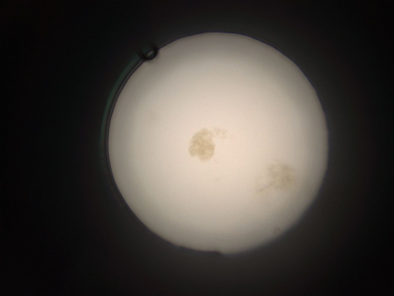 066t_L13_ImagerDefaults_9.jpg