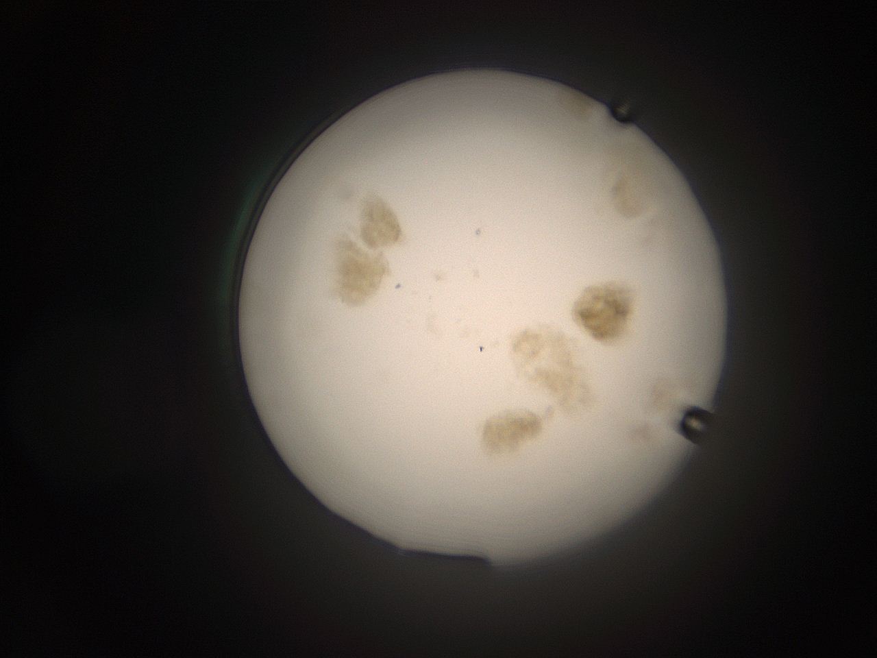 066t_M13_ImagerDefaults_9.jpg