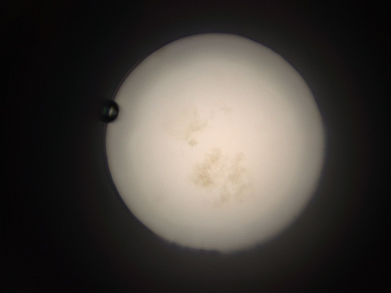 066t_M14_ImagerDefaults_9.jpg