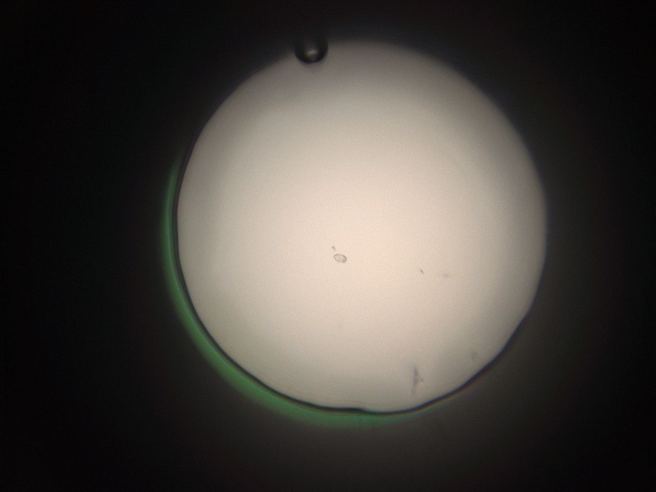 066t_N8_ImagerDefaults_1.jpg