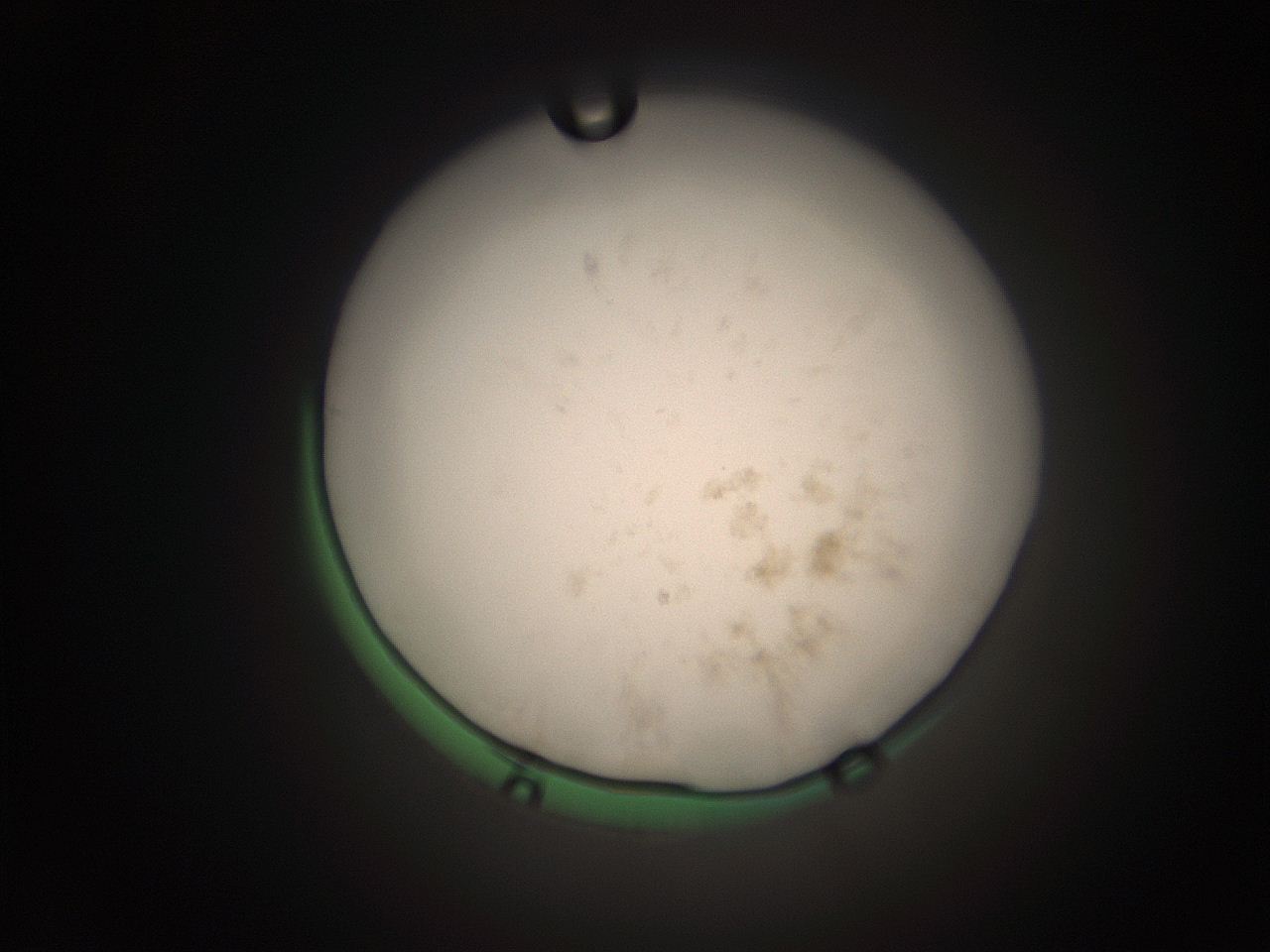 066t_O2_ImagerDefaults_9.jpg