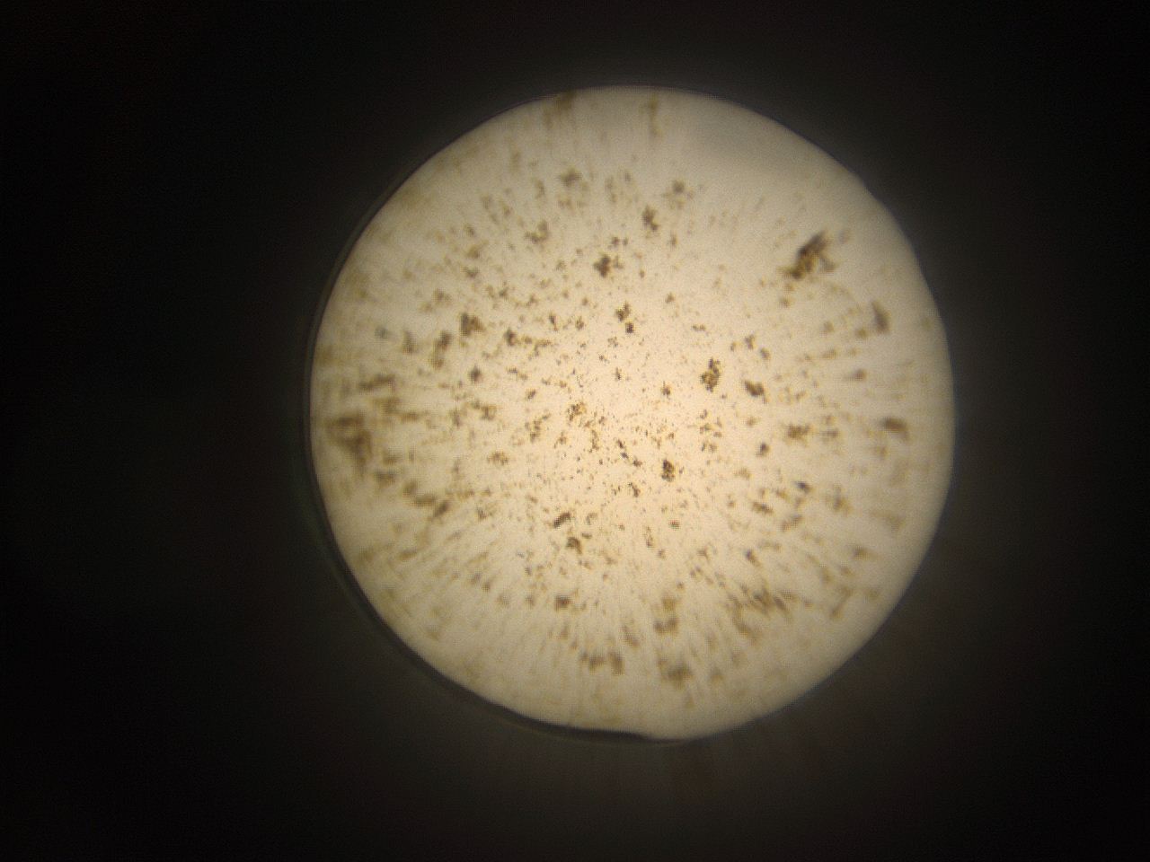 066t_O13_ImagerDefaults_9.jpg