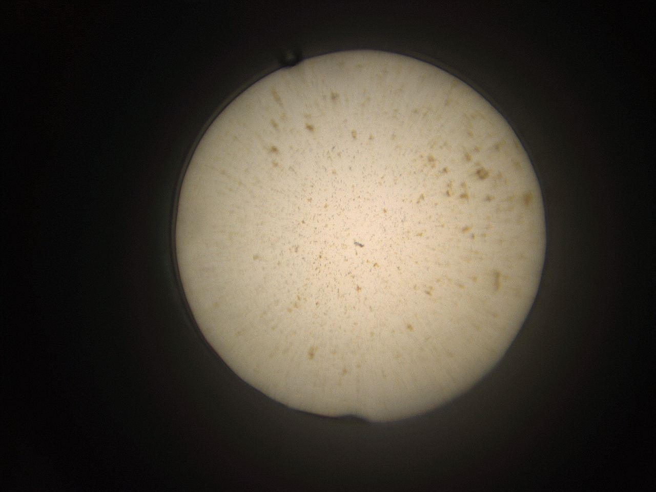066t_O14_ImagerDefaults_9.jpg