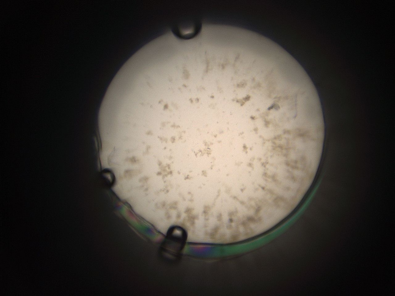 066t_P1_ImagerDefaults_9.jpg