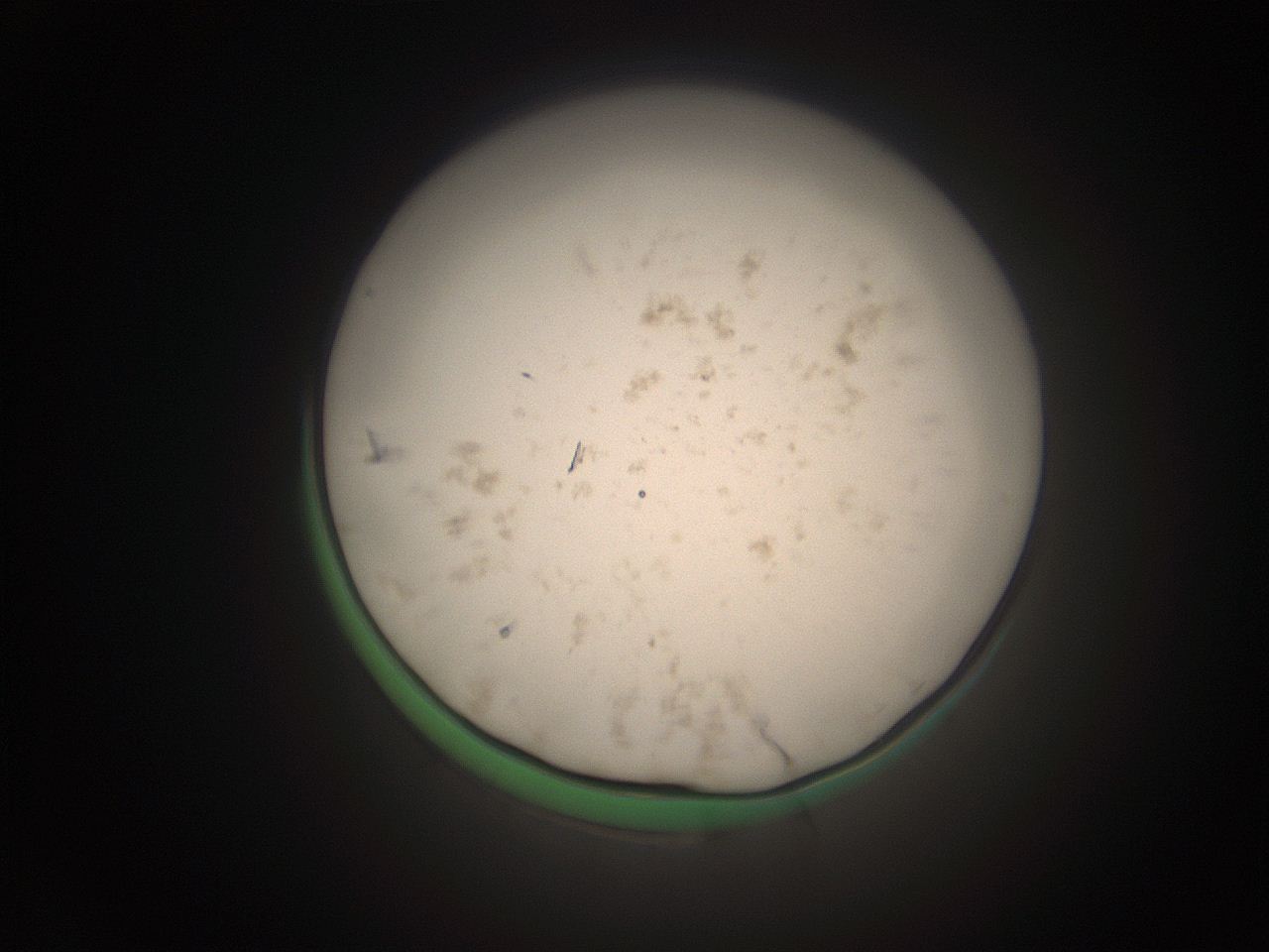 066t_P2_ImagerDefaults_9.jpg