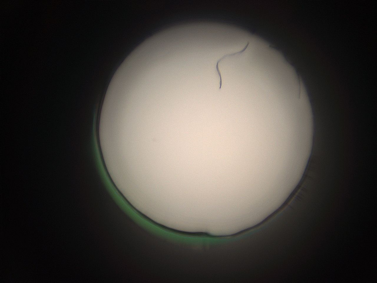 066t_P7_ImagerDefaults_1.jpg